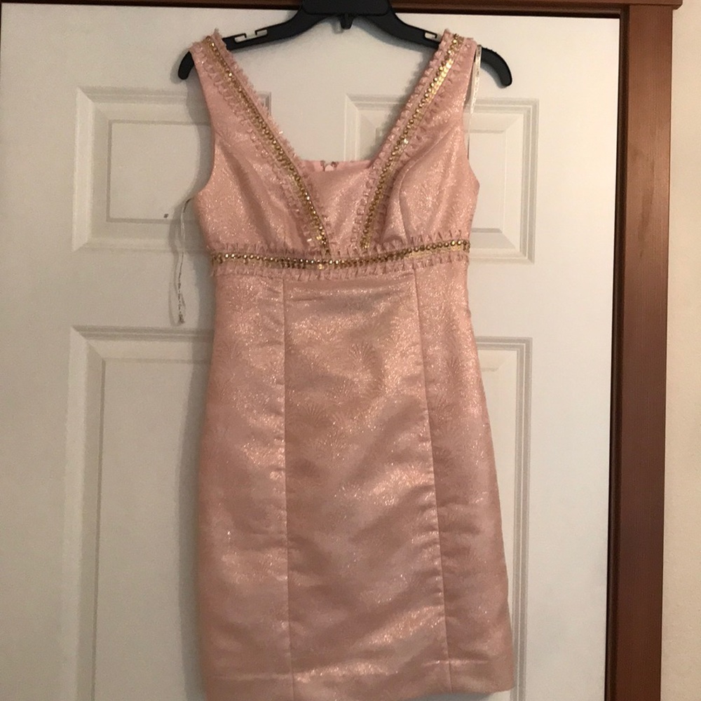 NWT Karter Shift Dress!